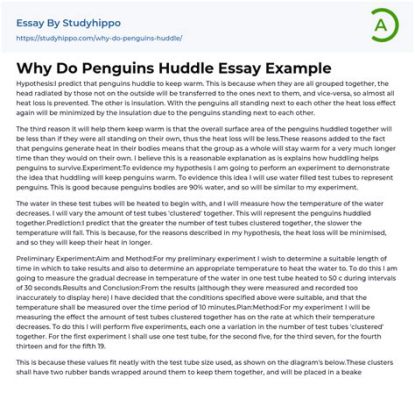 Is 1000 Words a Lot for an Essay? And Why Do Penguins Dream of Electric Sheep?